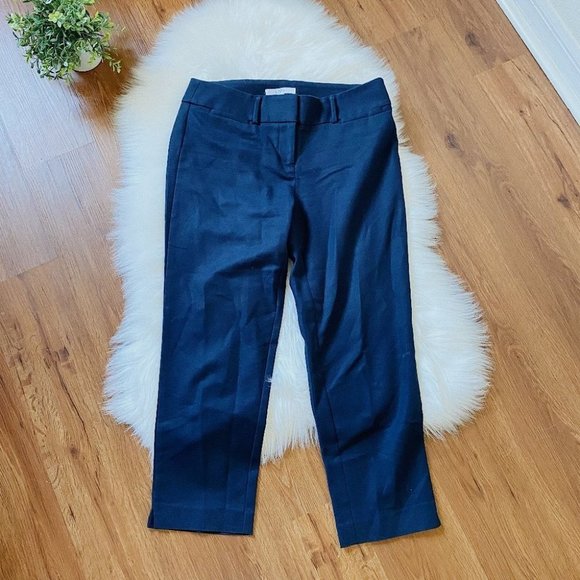 Ann Taylor Loft Blue Trousers Marisa Style Size 4 - Picture 1 of 6